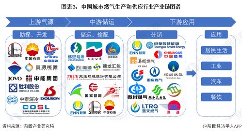 预见2023 中国城市燃气生产和供应行业全景图谱——市场现状、竞争格局与发展趋势及电子商务开发战略