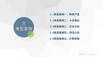 2018年度中国品质电商发展报告 电子商务的新赛道